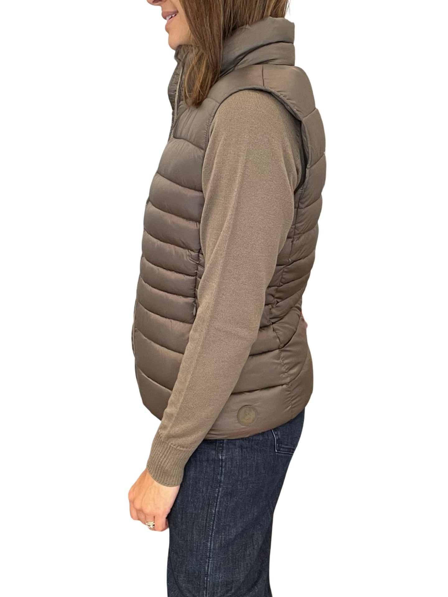 Salva le piume di bronzo di anatra