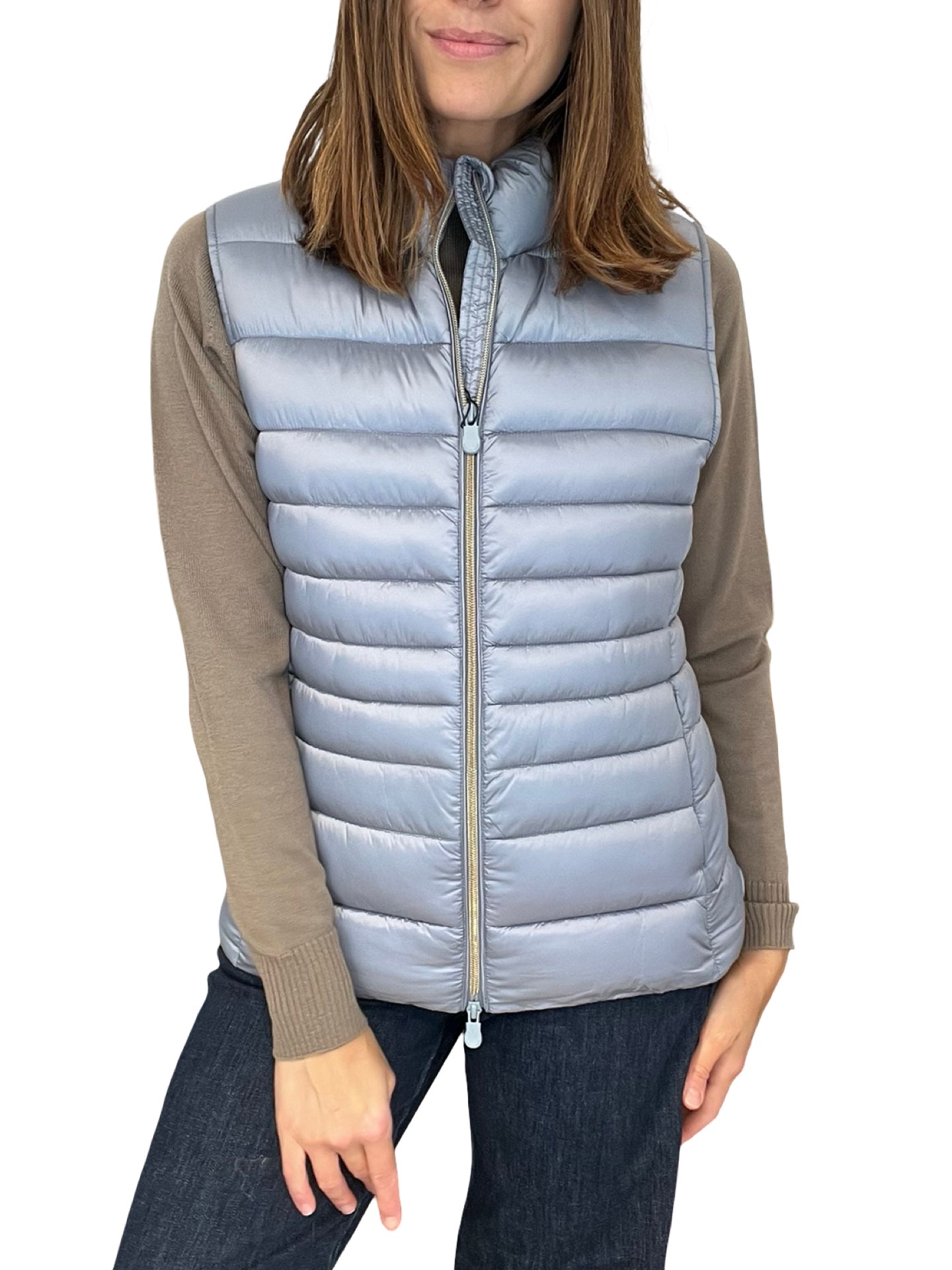 Salva il cielo delle piume di anatra