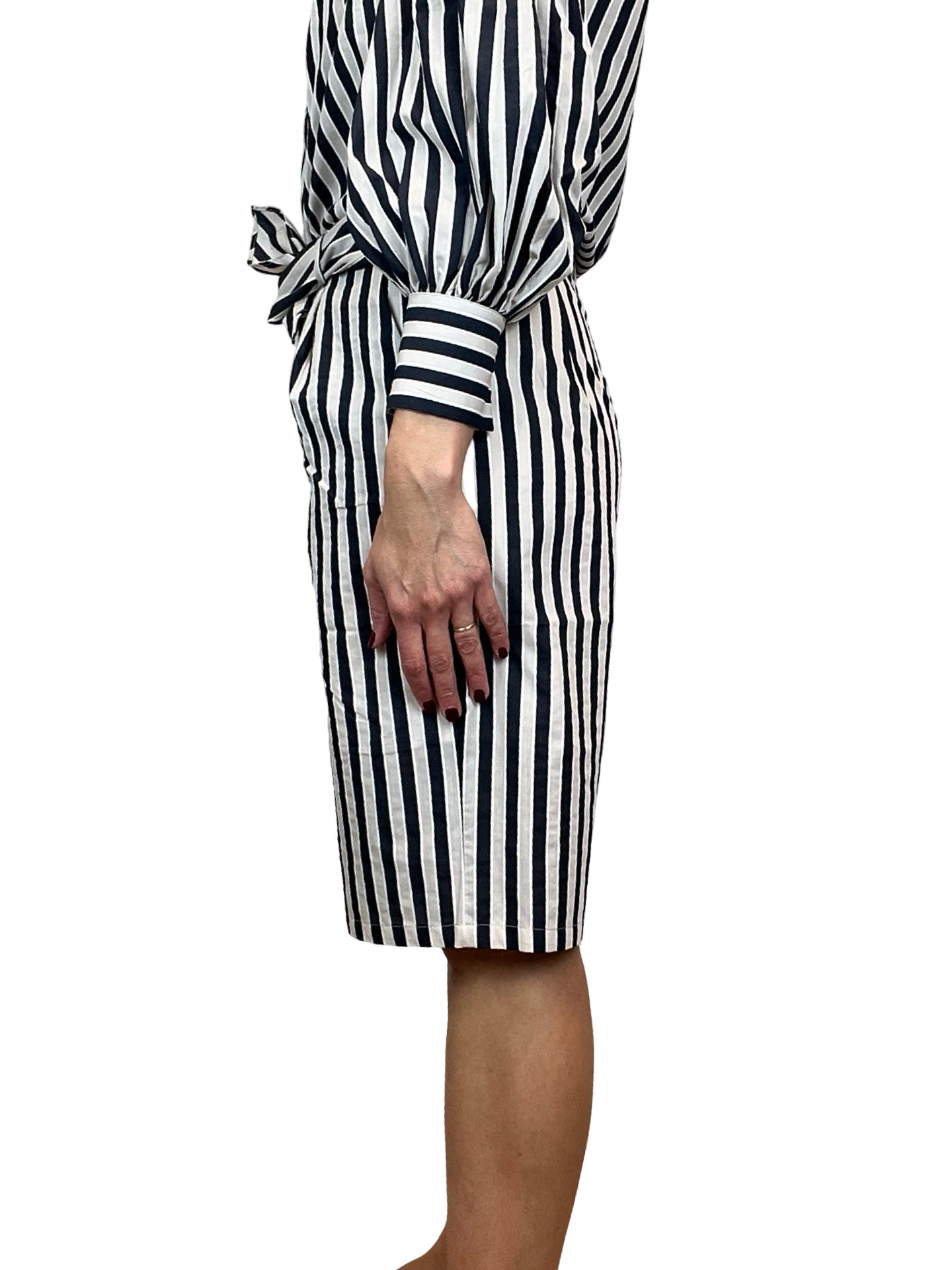 Bermuda Paisie Rayas