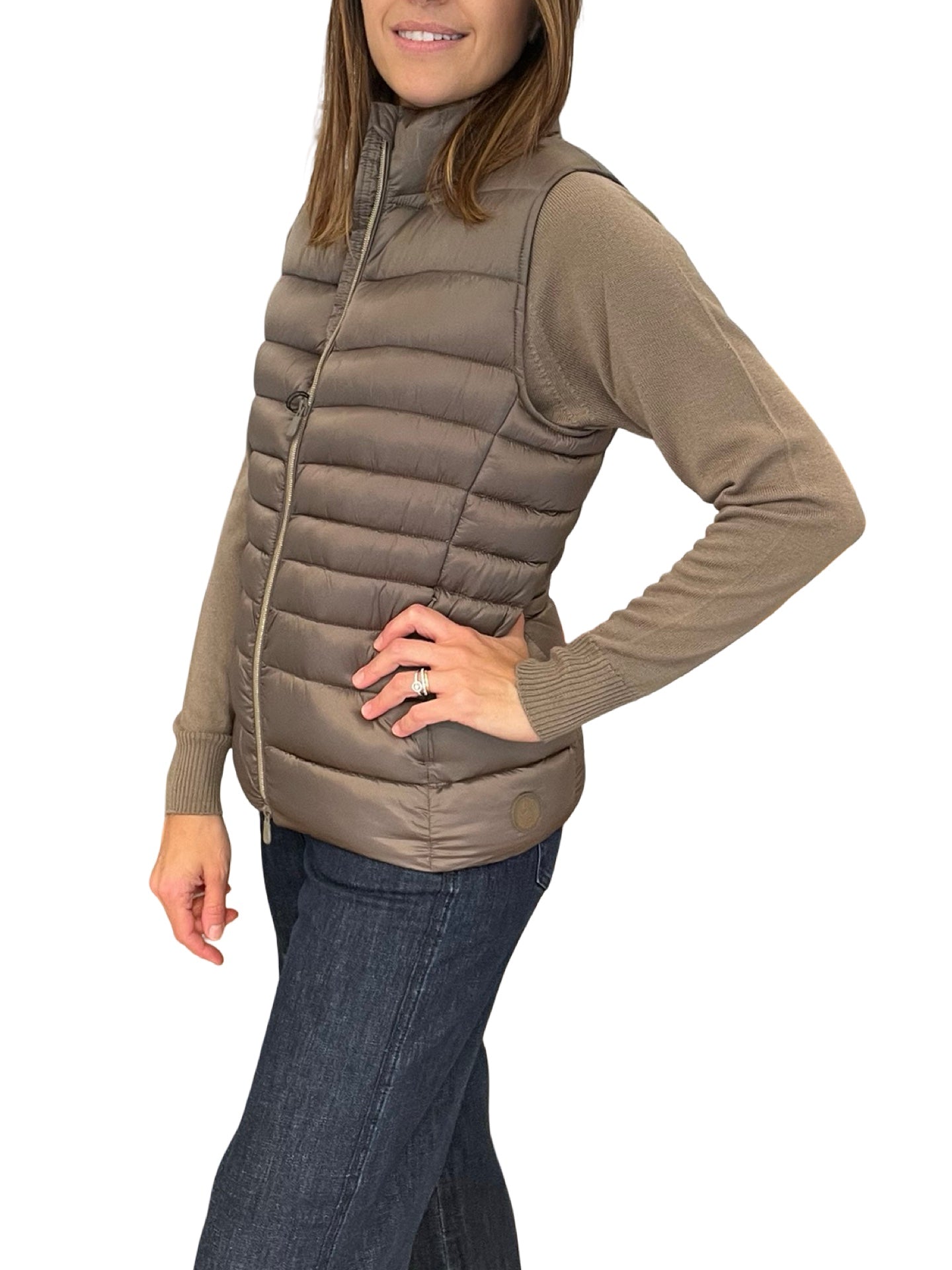 Salva le piume di bronzo di anatra