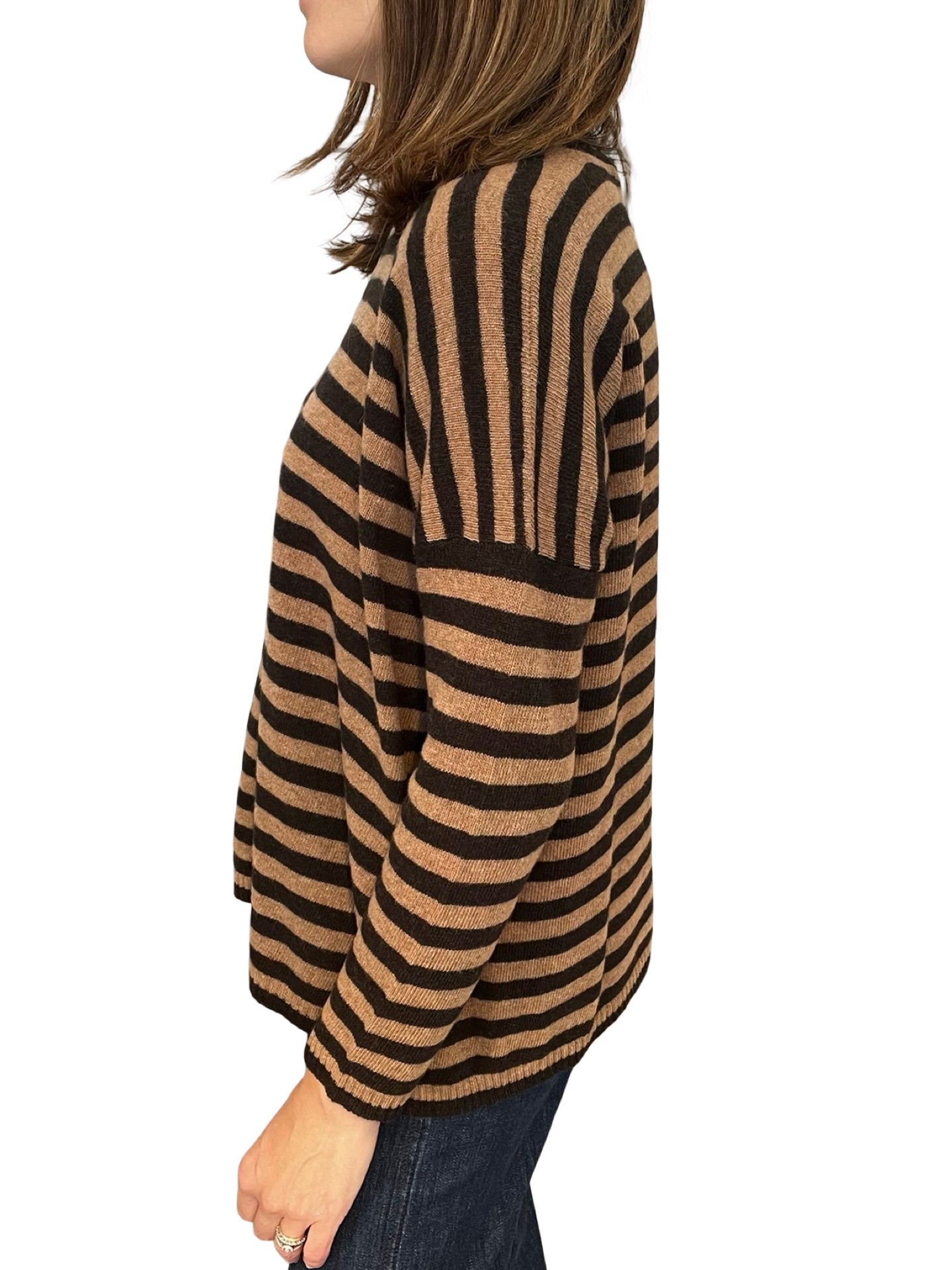 Basis Basis Base Rays Bicolor