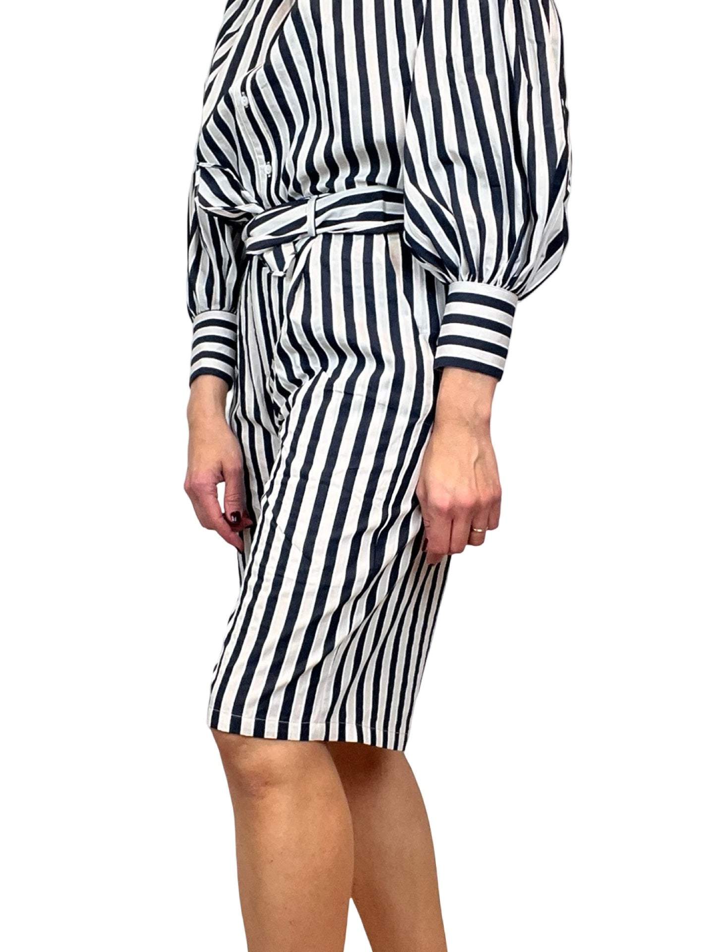 Bermuda Paisie Rayas