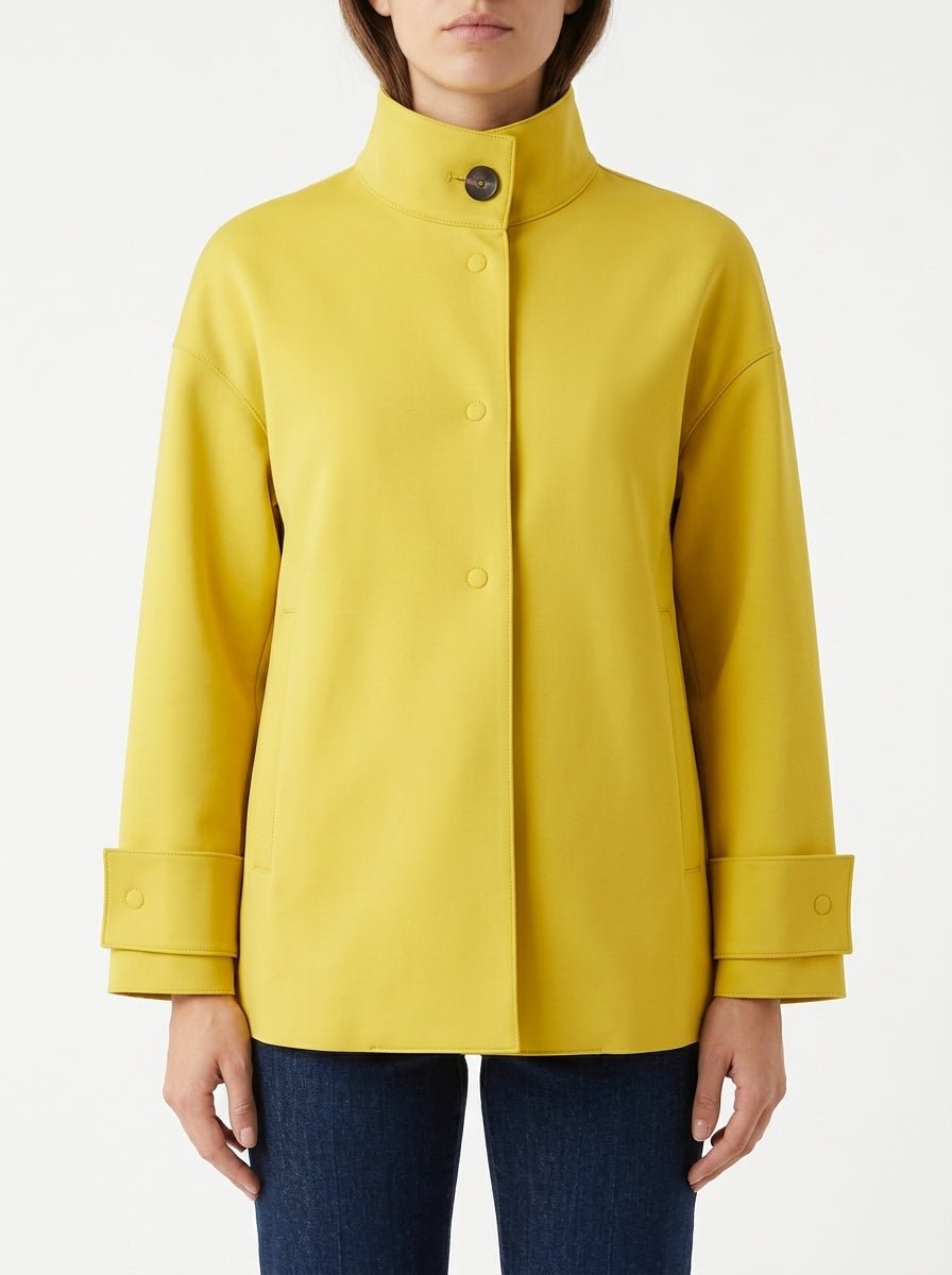 Ewooluzione Sanzio Yellow Jacket
