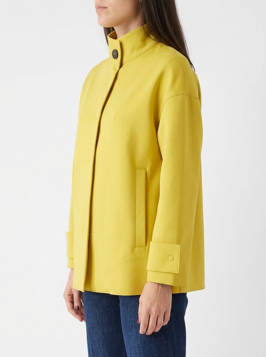 Ewooluzione Sanzio Yellow Jacket