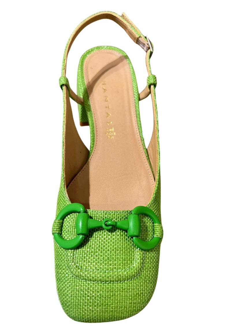 Zapato Chantal Chanel Librati Verde